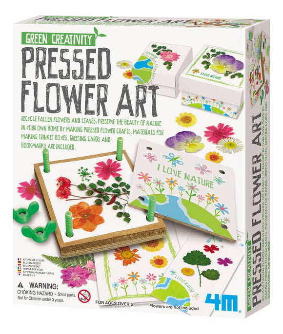 4M Pressed Flower Art